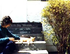 Ruth Bennett McDougal Dorrough; cat